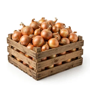 Cebolla | Cajón
